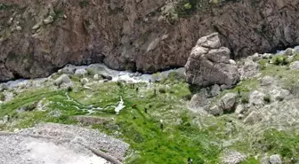 Hakkari'de Kayıp Feleknaz Keskin İçin Arama Çalışmaları Yeniden Başlatıldı