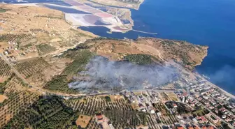 İzmir Dikili'de Orman Yangınına Müdahale Başladı