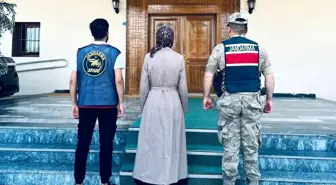 Erzurum'da Terör Örgütü Üyesi Yakalandı
