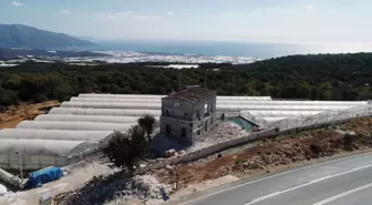 Müze müdürü, 'izinsiz uygulama' kararında imzası olduğu araziyi kendine almış