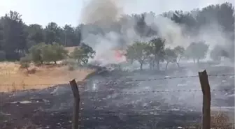 Adıyaman'da Ormanlık Alanda Yangın Kontrol Altına Alındı