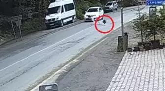 Rize'de Yamaçtan Düşen Kaya Parçası Otomobili Teğet Geçti