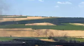 Tekirdağ'da Buğday Tarlalarında Yangın: 150 Dönüm Zarar Gördü