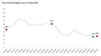 Tarım Ürünleri Üretici Fiyatları Mayıs'ta Yükseldi