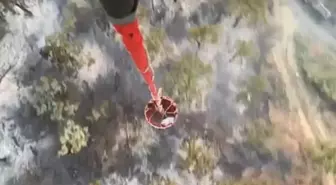 Aydın'da Orman Yangını Kontrol Altına Alındı