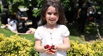 Bağcılar'da 13. Geleneksel Kiraz Festivali Coşkusu
