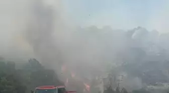 Karesi'de Orman Yangını Çıktı