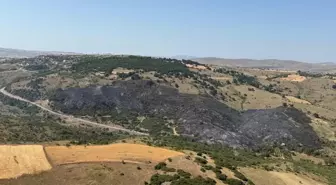 Karesi'deki Orman Yangını 5 Saatte Kontrol Altına Alındı