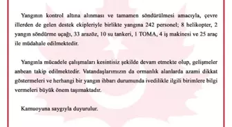 Bursa'daki Orman Yangınına Hızla Müdahale Ediliyor