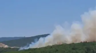 Bursa'da Orman Yangını: Havadan ve Kara'dan Müdahale Başlatıldı