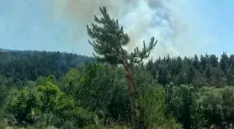 Bursa'nın Orhaneli İlçesinde Orman Yangını
