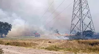 Çanakkale'de Tarım Arazisinde Yangın Kontrol Altına Alındı