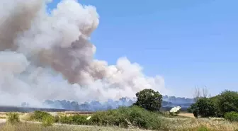 Çanakkale'de Tarım Arazisinde Yangın Çıktı