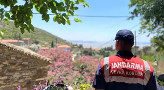 Doğanbey Mahallesi'nde Yangınlara Karşı Bilgilendirici Broşür Dağıtıldı