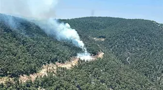 Manisa'da Orman Yangınına Hızlı Müdahale