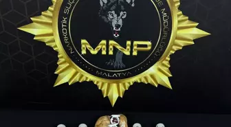 Malatya'da Ekmek Arasında 383 Uyuşturucu Hap Ele Geçirildi