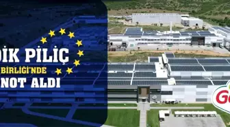 Gedik Piliç, Avrupa Birliği'ne İlk İhracatı Gerçekleştirdi