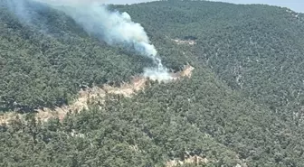 Manisa'da Orman Yangını Kontrol Altına Alındı