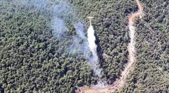 Manisa'da Orman Yangını Kontrol Altına Alındı