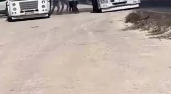 Tır Sürücüleri Arasında Yol Verme Tartışması Kavga Çıkardı