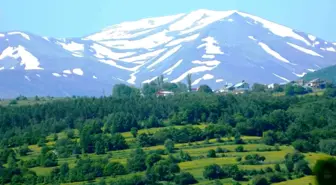 Posof'un Doğal Güzellikleri ve Organik Üretimi
