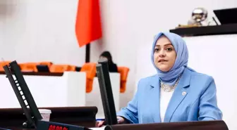 Gelecek Partisi Milletvekili, Çifte Vatandaşların İsrail Ordusuna Katılmasını Eleştirdi