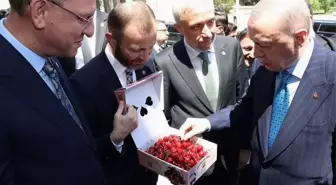 Milletvekillerinden Cumhurbaşkanı Erdoğan'a Kütahya kirazı ikramı