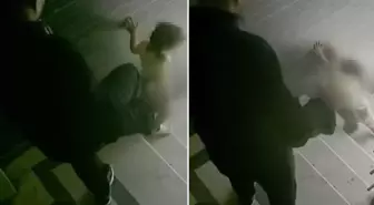 Öz evladına merdivenlerde tekme atan sözde baba gözaltına alındı