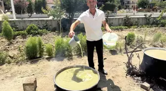 Sarıgöl'de Koruk Suyu ile Ekonomiye Katkı