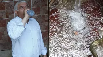 Yer: Trabzon! Şişe şişe içiyorlar ama uzman isim uyardı