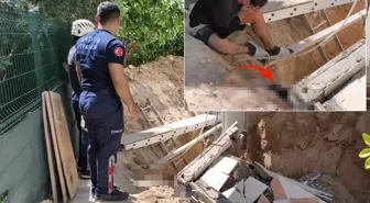 Sözün bittiği yer! Ağabeyinin cansız bedeni başında gözyaşlarına boğuldu
