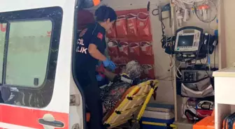 Antalya'da Yaya Geçidinde Kamyonet Çarpması: 71 Yaşındaki Kadın Yaralandı