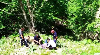 Zonguldak'ta Yayla Yolunda Otomobil Devrildi: 3 Yaralı