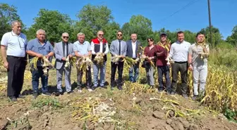 Zonguldak'ta Makineli Sarımsak Hasadı Geri Dönüşüm Sağladı