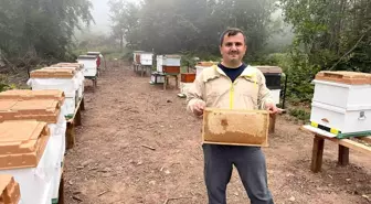 Zonguldak'ta Doğal Ormangülü Balı Üretimi Verimli Geçti