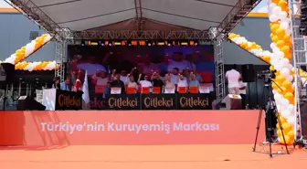 30 TOGG, Çekilişle Yeni Sahiplerini Buldu