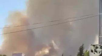 Adana'da Orman Yangını: Ekipler Müdahale Ediyor