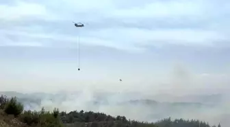 Adana'da Orman Yangını Kontrol Altına Alındı, 6 Kişi Gözaltında