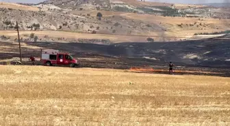 Adıyaman'da Anız Yangını Kontrol Altına Alındı