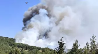 Balıkesir'de Orman Yangınına Hava ve Karadan Müdahale