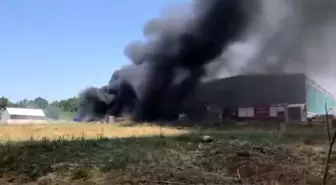 Çanakkale'de Plastik Fabrikasında Yangın Çıktı