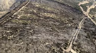 İzmir'de Makilik Alanda Yangın Kontrol Altına Alındı
