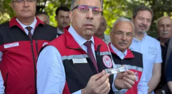 Ordu'da Kahverengi Kokarca ile Mücadele İçin 245 Bin Samuray Arısı Salınıyor