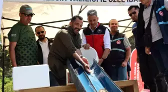Bilecik'te Anaç Sazan Balığı Salımı Gerçekleşti