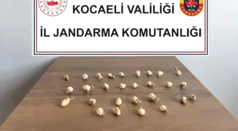 Kocaeli'nde Midesinden 28 Kapsül Uyuşturucu Çıkan Şahıs Hastaneye Sevk Edildi