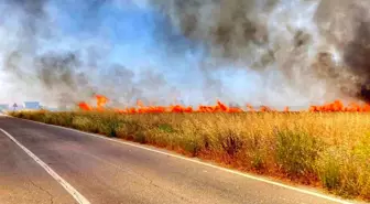Tekirdağ'da Büyük Tarla Yangını: 350 Dönüm Mahsul Yandı
