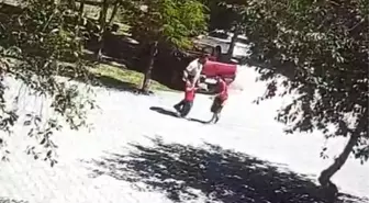Ahlat'ta Başbıboş Köpeklerin Saldırısı: Küçük Çocuğu Vatandaş Kurtardı