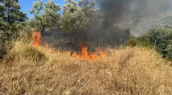 Aydın'da Zirai Alanda Yangın Çıktı