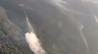 Balıkesir'de Orman Yangınına Müdahale Devam Ediyor
