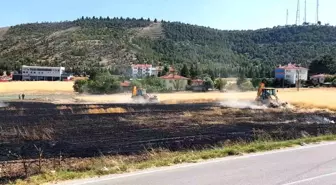 Beypazarı'nda Yangın: 10 Dönüm Tarla Kül Oldu, Çok Sayıda Tavuk Telef Oldu